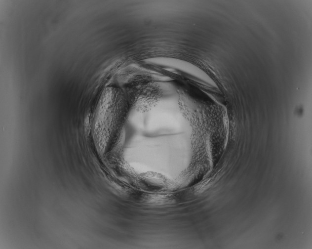 X0000090720093200708031510