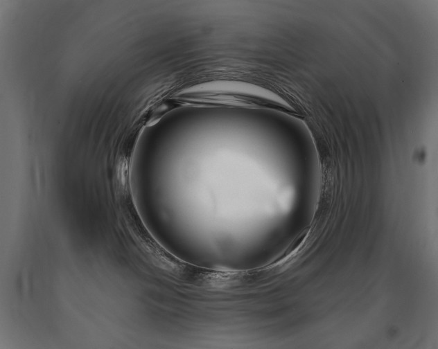 X0000090720094200708031510