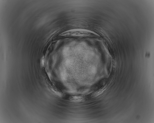 X0000090720095200708031510