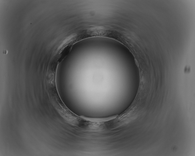 X0000090720096200708031510
