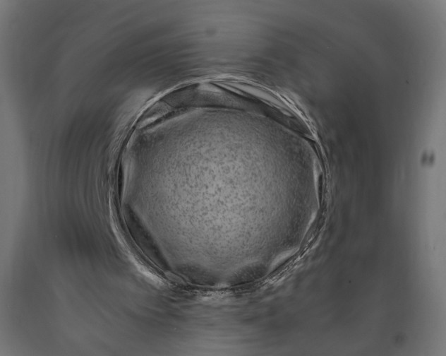 X0000090720097200708031510