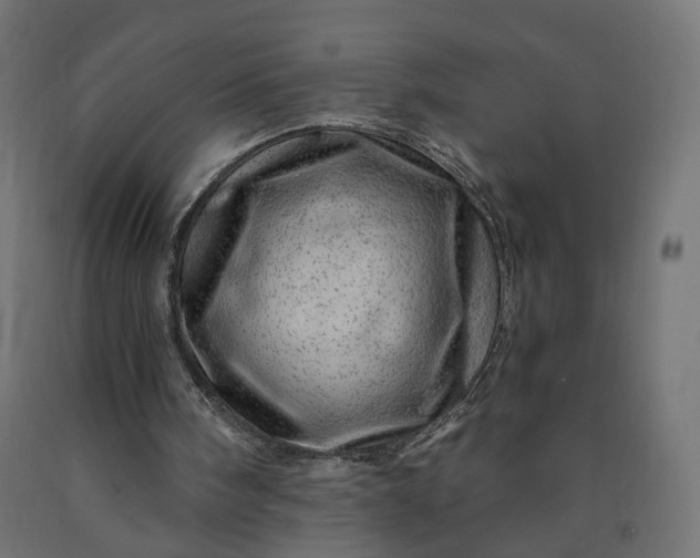 X0000090720098200708031510
