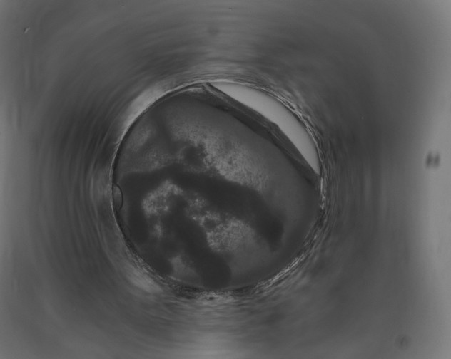 X0000090720099200708031510