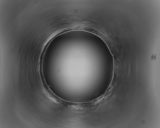 X0000090720100200708031510
