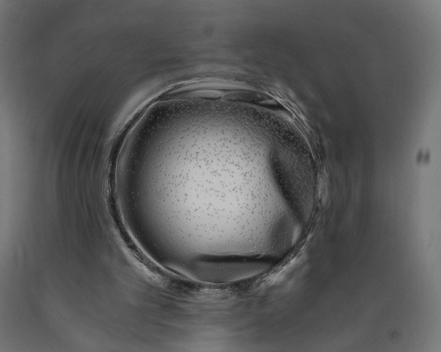 X0000090720101200708031510