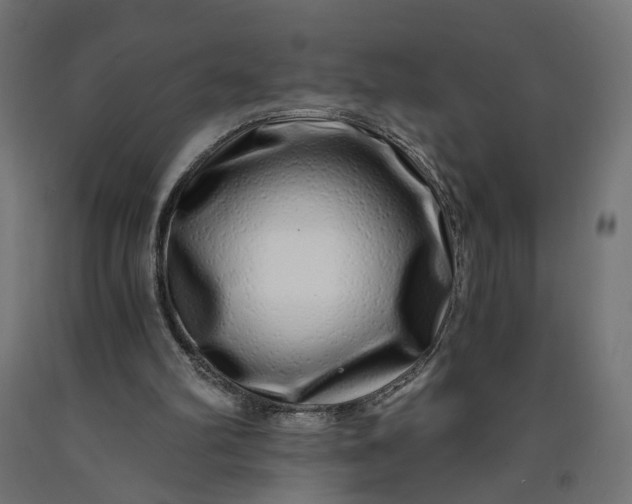 X0000090720102200708031510