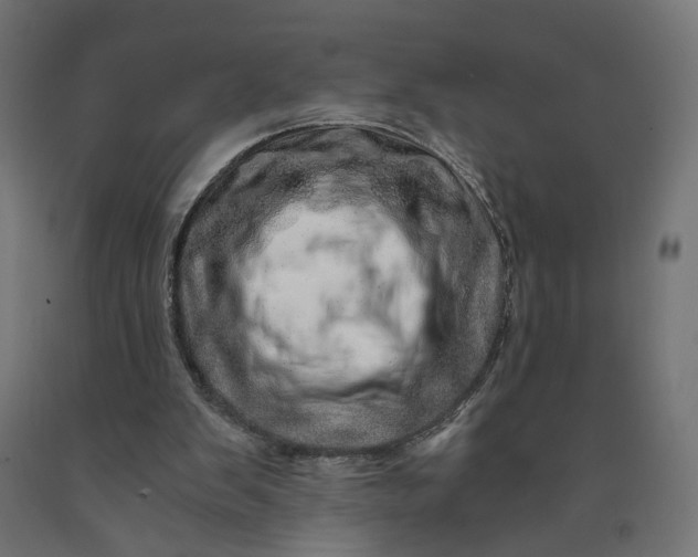 X0000090720103200708031510