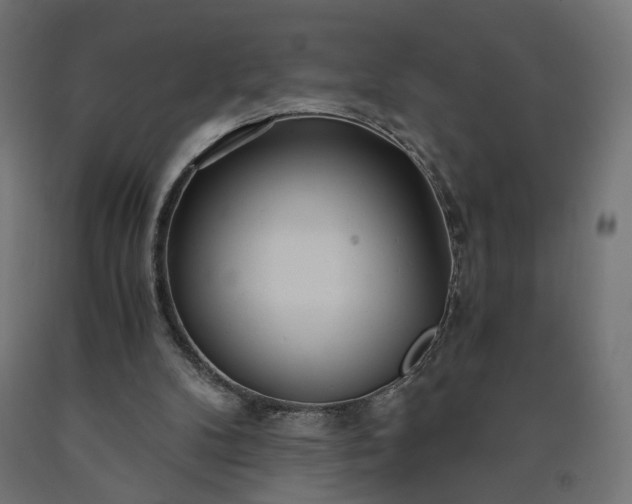 X0000090720104200708031510
