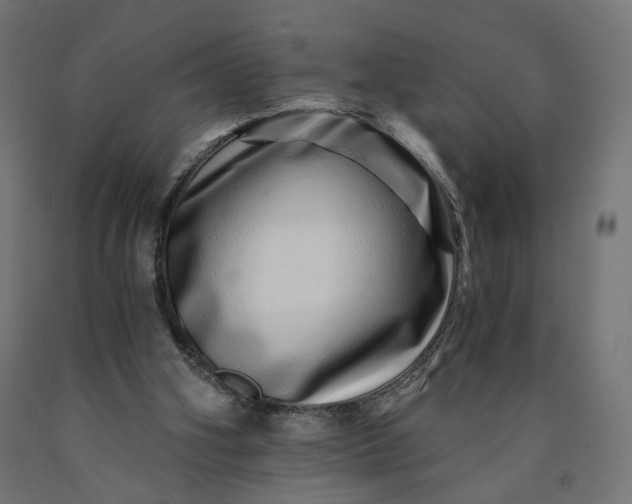 X0000090720106200708031510
