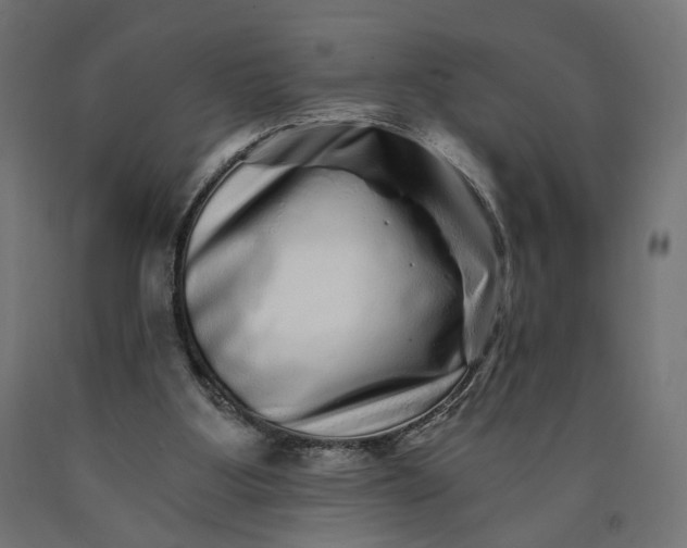 X0000090720107200708031510
