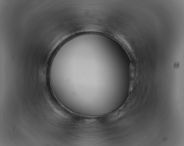X0000090720108200708031510