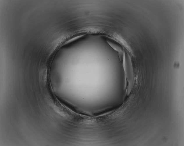 X0000090720110200708031510