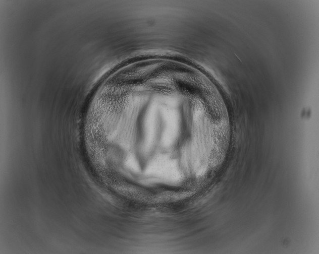 X0000090720111200708031510