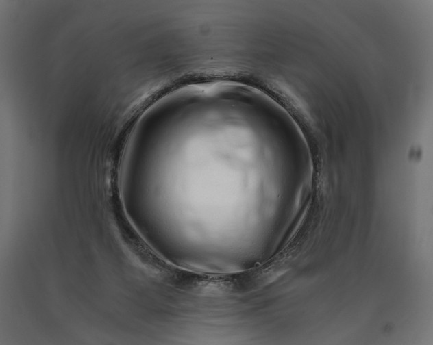 X0000090720115200708031510