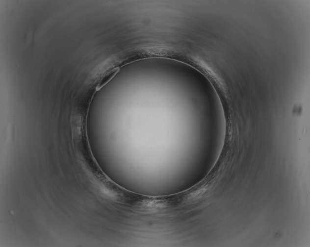 X0000090720117200708031510