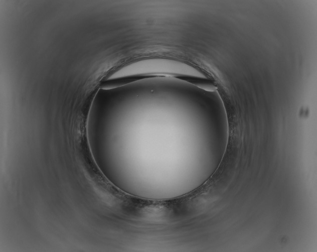X0000090720119200708031509