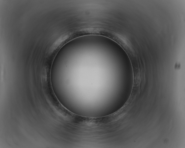 X0000090720120200708031509
