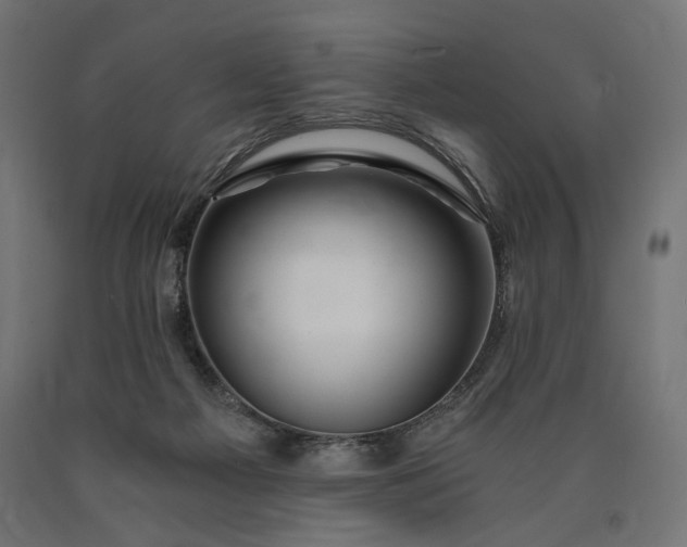 X0000090720121200708031509