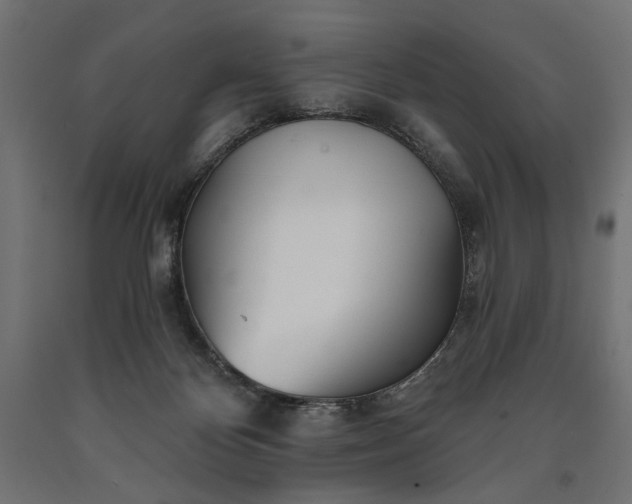 X0000090720124200708031509