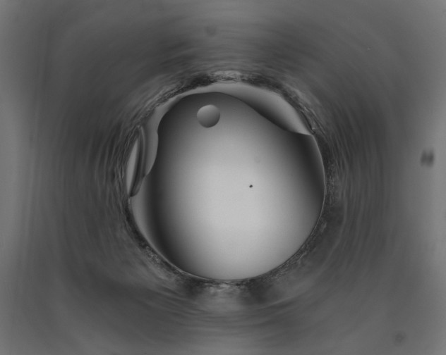 X0000090720125200708031509