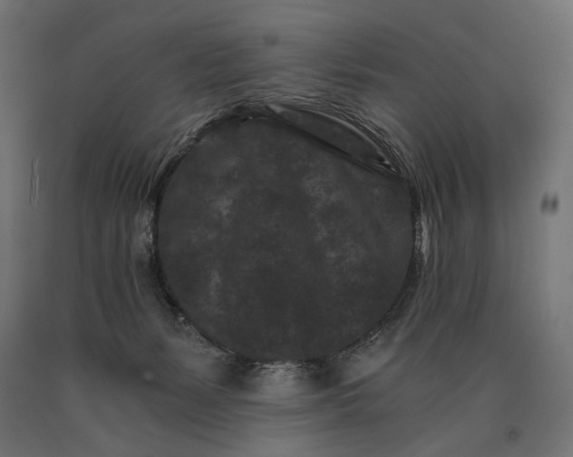 X0000090720127200708031509