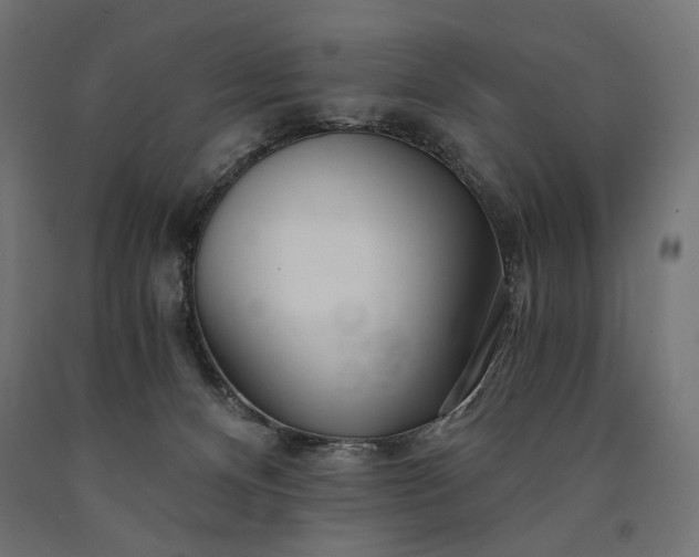 X0000090720128200708031509