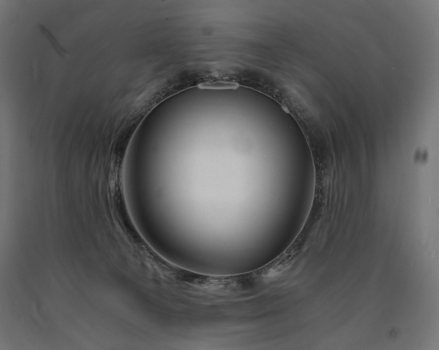 X0000090720129200708031509