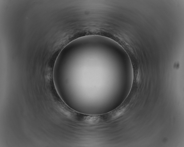 X0000090720135200708031509