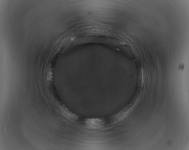 X0000090720137200708031509