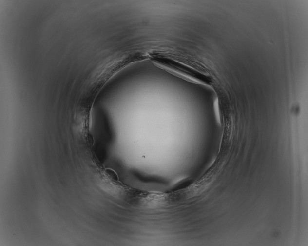 X0000090720138200708031509