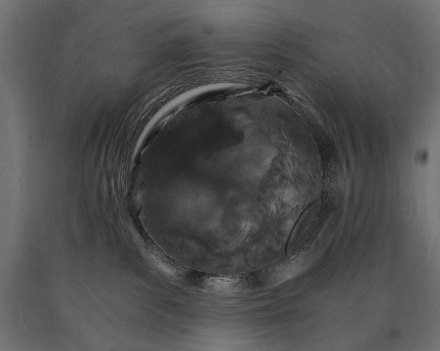 X0000090720139200708031509