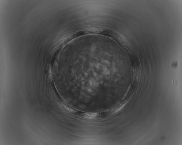 X0000090720143200708031509