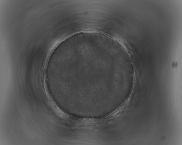 X0000090720145200708031508