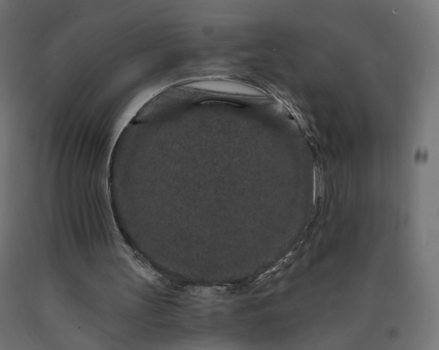 X0000090720147200708031508