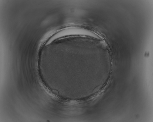 X0000090720149200708031508