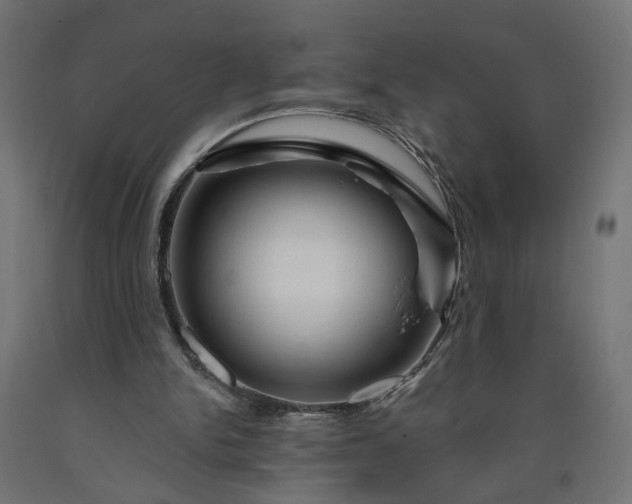X0000090720150200708031508