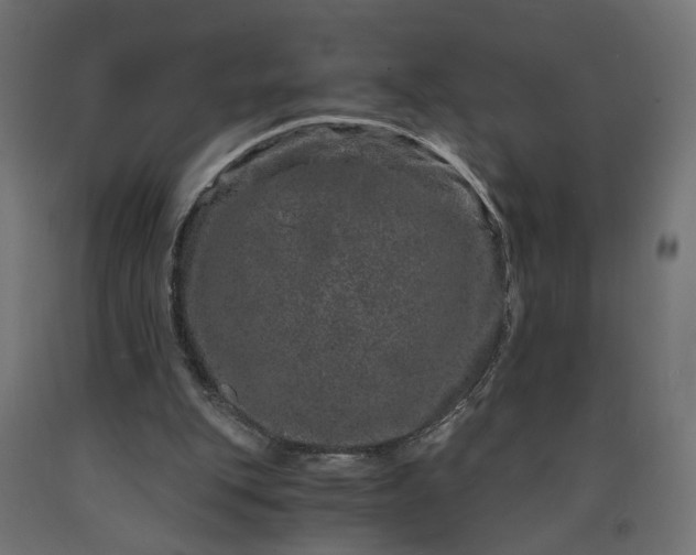 X0000090720151200708031508