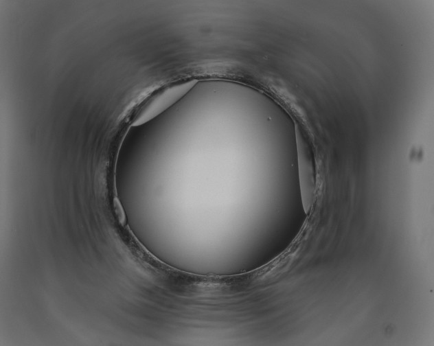 X0000090720154200708031508