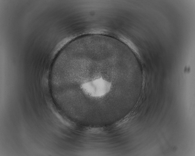 X0000090720155200708031508