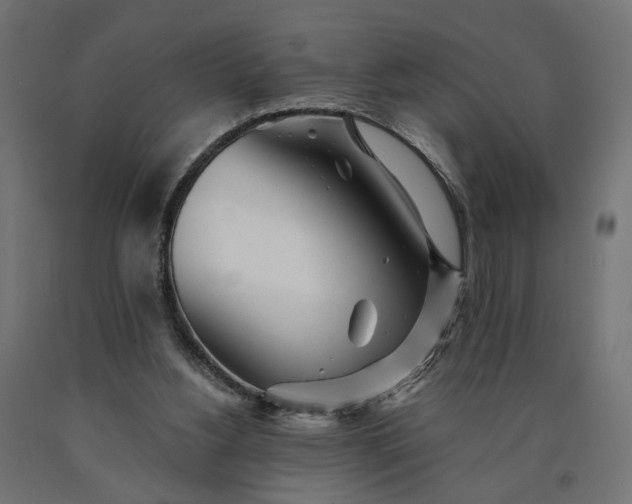 X0000090720156200708031508