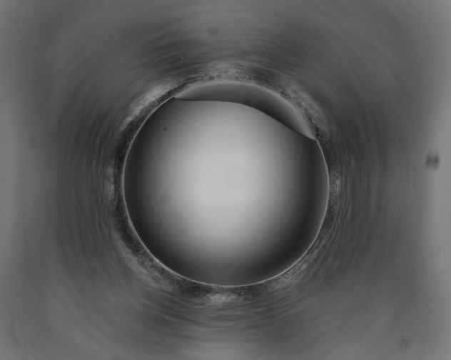 X0000090720158200708031508