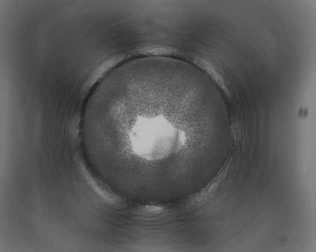 X0000090720159200708031508