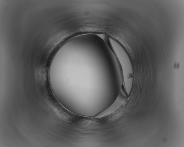 X0000090720160200708031508