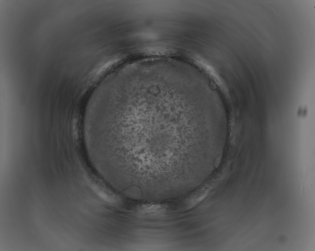 X0000090720161200708031509