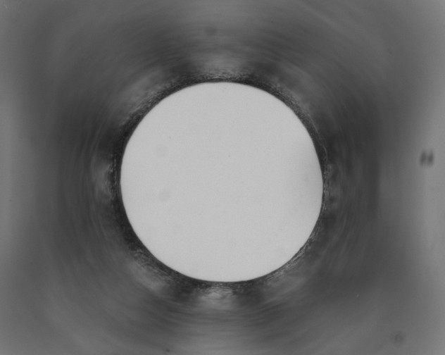 X0000090720162200708031509