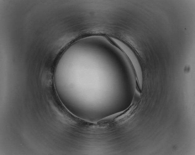 X0000090720164200708031509