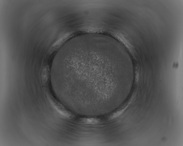 X0000090720165200708031509