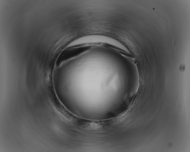 X0000090720166200708031509