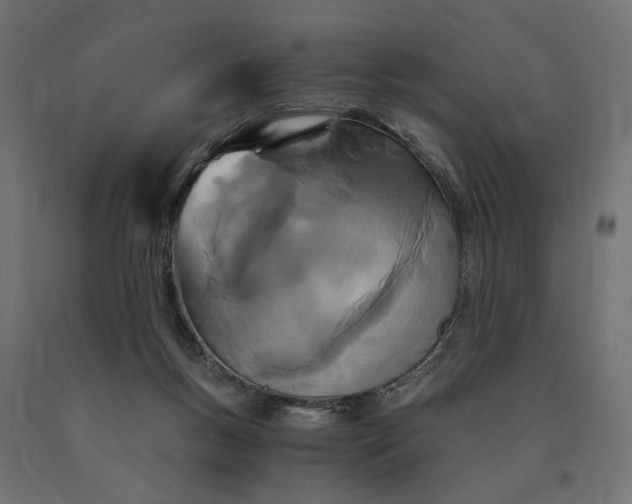 X0000090720167200708031509