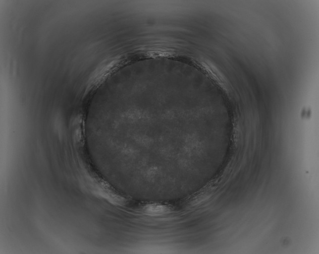 X0000090720169200708031509